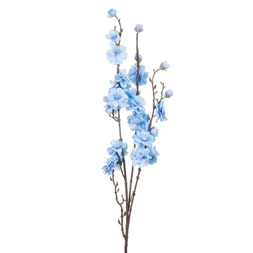 Cvijet Dekorativni Plavi