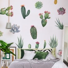 Cacti and succulent plants web