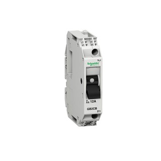 Thermal Magnetic Circuit Breaker 1P 6A Id=83A TeSy