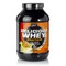 QNT Delicious Whey Protein Creamy Cookie, 908gr