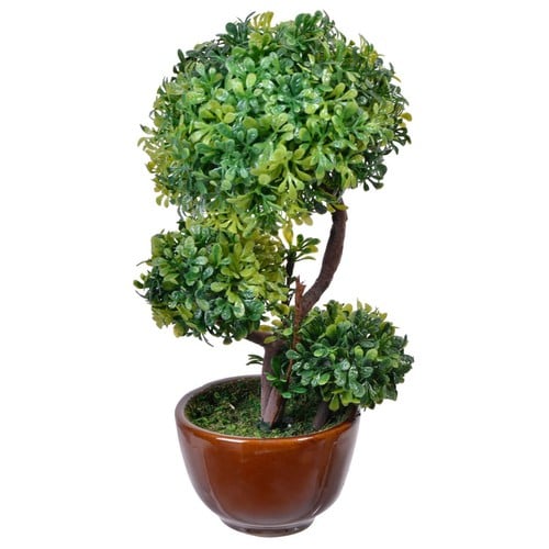 Dek.Cvet bonsai