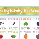 Από σποράκι σε κολοκύθα: Παρακολουθήστε το μέγεθος του μωρού σας ανά εβδομάδα κύησης! 