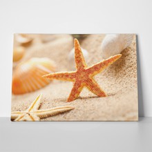 Starfish 1 a