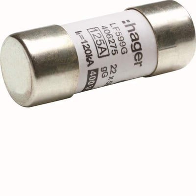 Cartridge Fuse 22X58 125Α Fast Blow