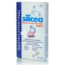 Hubner Silicea Gastro-Intestinal Gel Direct - Γαστρενερικό, 6 x 15ml