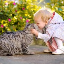 Μπορεί η πρόωρη έκθεση σε γάτες να αποτρέψει το παιδικό άσθμα;