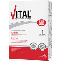 Vital Plus Q10 - Πολυβιταμινούχο Συμπλήρωμα Διατρο