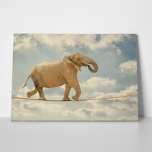 Elephant on a rope 133198406 a