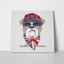 English bulldog dressed tshirt flag 341220410 a
