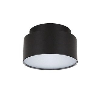 Ceiling Light LED 21.8W Black Gabi 4279501