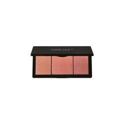 Erre Due Blush & Glow Palette 403 Rosy Evenings Palette Rouge And Highlighter 10gr