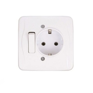 Switch with 2P+E Socket White 147-12250