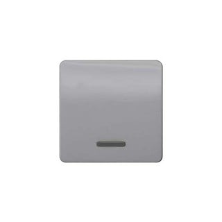 Switch Plate with Window Silver 5TG7920