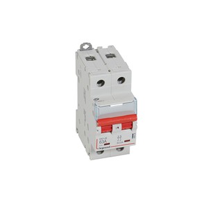 Switch Disconnector 2P 63A 406528
