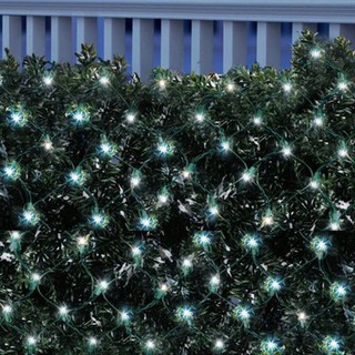 Christmas Lights Net LED 240 Cool White with Green