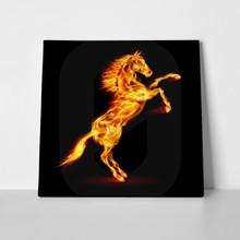 Fire horse rearing up 159568592 a
