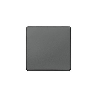 Delta Switch Plate Anthracite 5TG6221