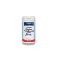 LAMBERTS CALCIUM PANTOTHENATE 500MG 60TABL