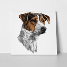 Jack russell cheerful sketch 763785052 a