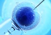 Fertility in vitro