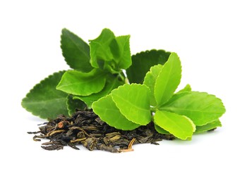 Κατεχίνες: Πράσινο τσάι και Υγεία!