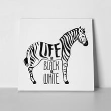 Zebra blacknwhite life concept 466244699 a