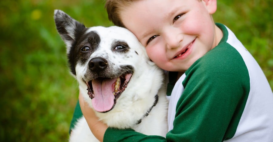 10 motive care atestă, că animalele de companie sunt bune pentru copii 