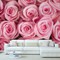 Pink roses a