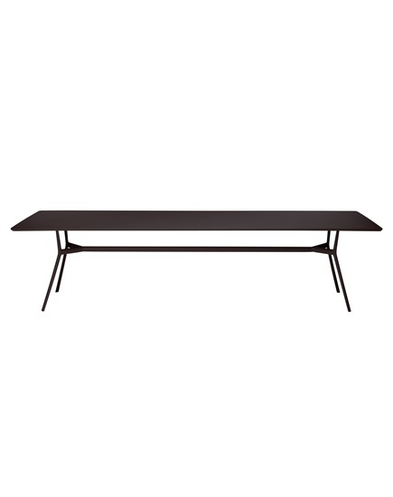 BRANCH DINING TABLE 300x110cm