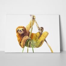 Watercolor sloth hand painted hanging 329509343 a