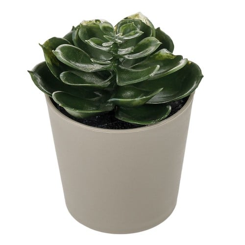 Vazo plastike per kaktus ngjyre gri 48x38x12