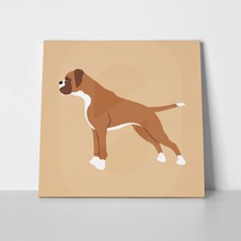 Dog boxer simple color 478479904 a