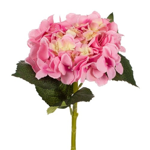Cvijet Roze 56Cm