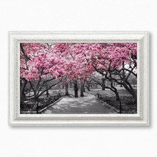 Pink blossom park 393 71  65x40 