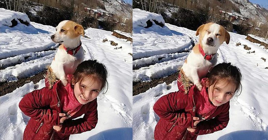 Κορίτσι 8 χρονών κουβάλησε 2,5 χιλιόμετρα στο χιόνι τον άρρωστο σκύλο της 