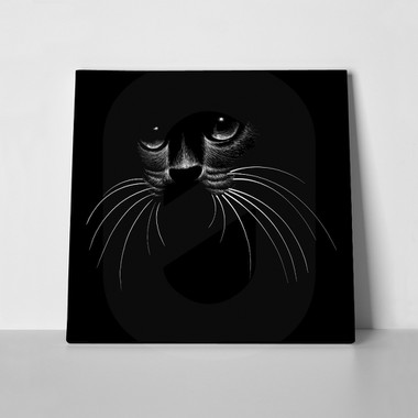 Cat shadow white line art 754068397 a
