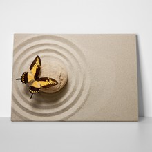 Butterfly zen