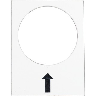 Shape Label 30x40mm White ZB2BY4907