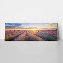 Lavender field in valensole 443615347 a