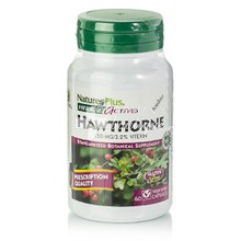 Natures Plus Hawthorne 150mg - Καρδιαγγειακό, 60 veg. caps