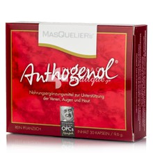 Masquelier's Anthogenol, 30 caps