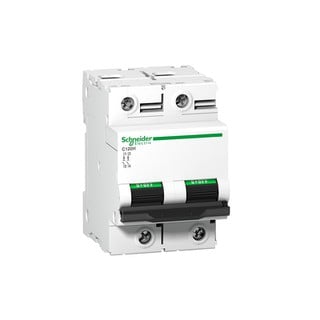 Micro-Automatic Switch C120H 2P 63A D Acti 9 A9N18