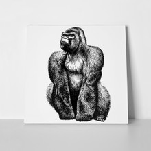 Engraved great monkey 771329770 a