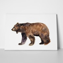 Wild bear watercolor 469043903 a