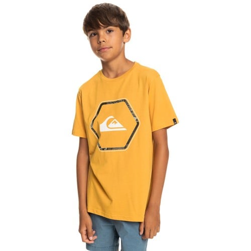Quiksilver Boy T-Shirts In Shapes Ss Youth (EQBZT0