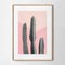 Cactus on pink wood