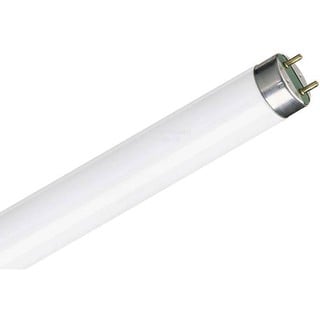 Fluorescent Lamp 20W 401000018