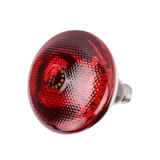 Infrared Bulb Red 250W E27 923212043801