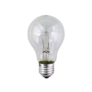 Transparent Bulb 60W E27 630lm 147-88133