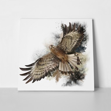 Falcon flight watercolor painting 718925698 a